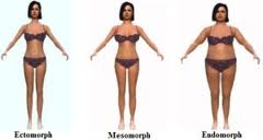 1 bodytypeimagesCAEN7Y24